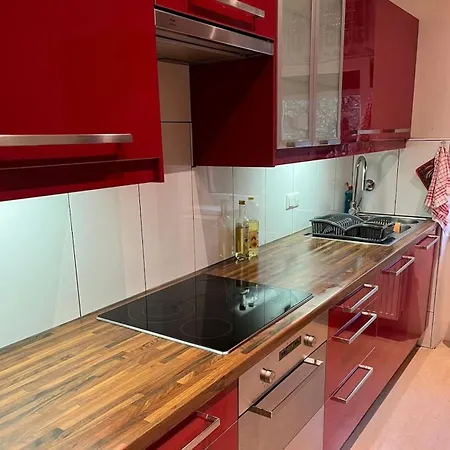 Single Suite Apartment Top 8 Graz